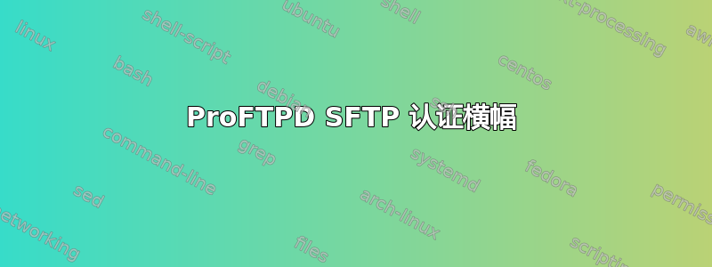 ProFTPD SFTP 认证横幅