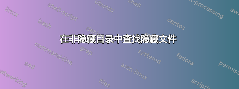 在非隐藏目录中查找隐藏文件