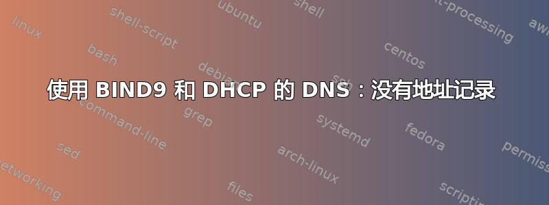 使用 BIND9 和 DHCP 的 DNS：没有地址记录