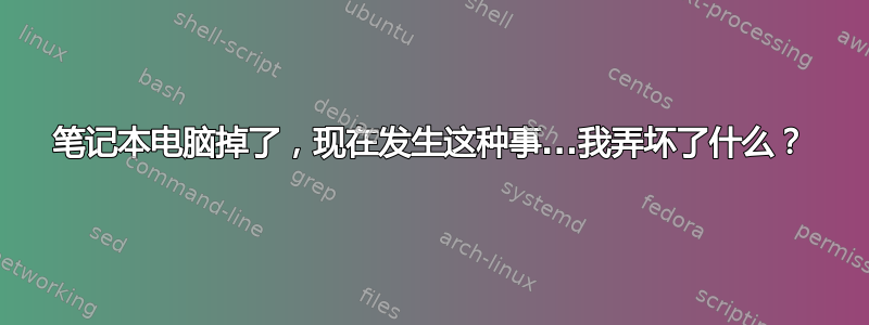 笔记本电脑掉了，现在发生这种事...我弄坏了什么？