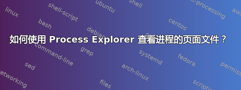 如何使用 Process Explorer 查看进程的页面文件？