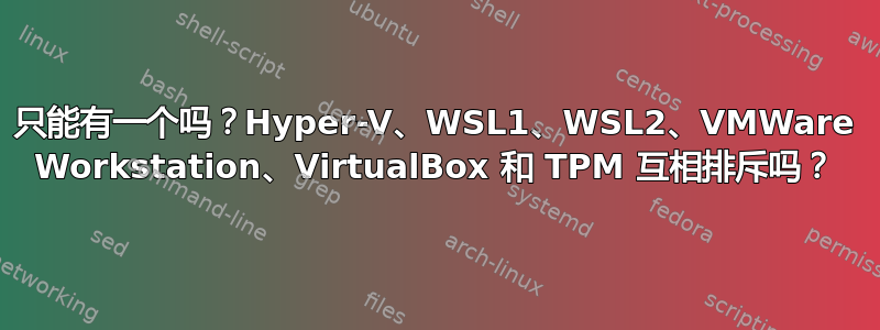 只能有一个吗？Hyper-V、WSL1、WSL2、VMWare Workstation、VirtualBox 和 TPM 互相排斥吗？