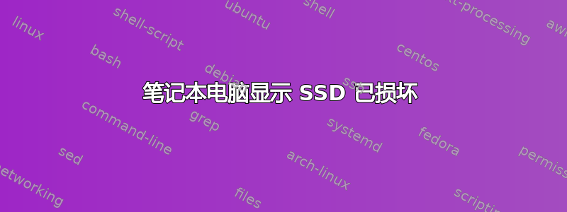 笔记本电脑显示 SSD 已损坏