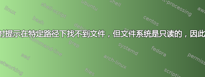 加载文件时提示在特定路径下找不到文件，但文件系统是只读的，因此无法复制