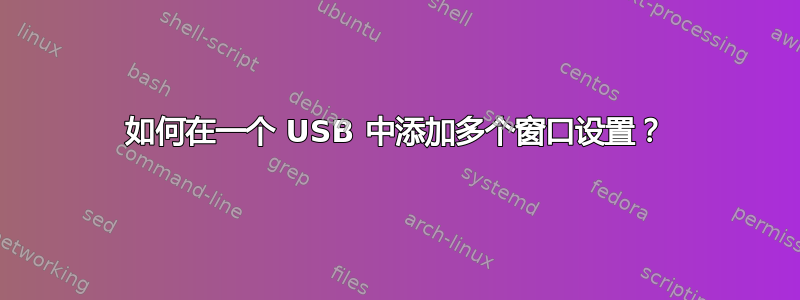 如何在一个 USB 中添加多个窗口设置？