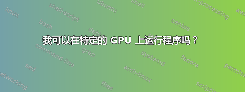 我可以在特定的 GPU 上运行程序吗？