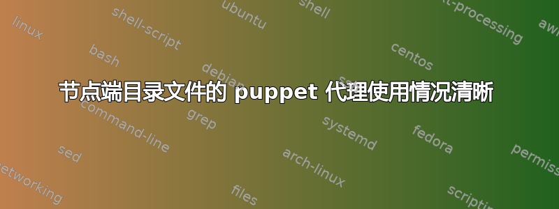 节点端目录文件的 puppet 代理使用情况清晰