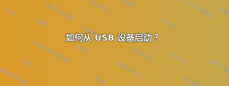 如何从 USB 设备启动？