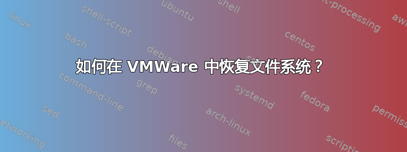 如何在 VMWare 中恢复文件系统？