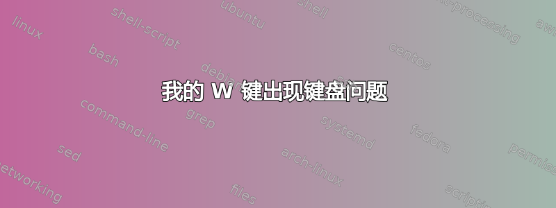 我的 W 键出现键盘问题