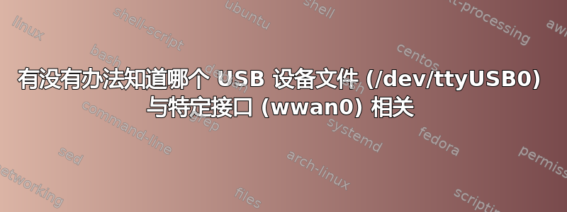 有没有办法知道哪个 USB 设备文件 (/dev/ttyUSB0) 与特定接口 (wwan0) 相关