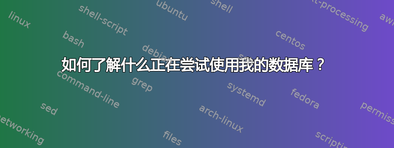 如何了解什么正在尝试使用我的数据库？