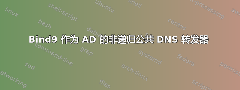 Bind9 作为 AD 的非递归公共 DNS 转发器