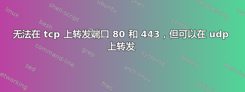 无法在 tcp 上转发端口 80 和 443，但可以在 udp 上转发