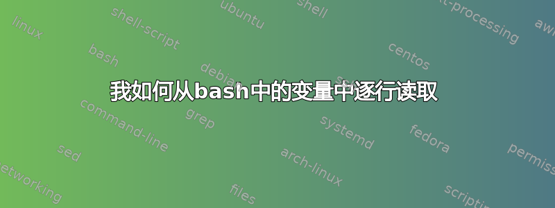 我如何从bash中的变量中逐行读取