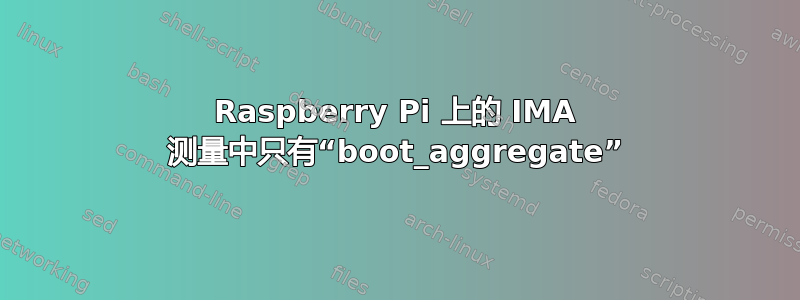 Raspberry Pi 上的 IMA 测量中只有“boot_aggregate”