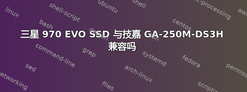 三星 970 EVO SSD 与技嘉 GA-250M-DS3H 兼容吗