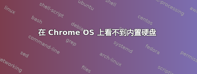 在 Chrome OS 上看不到内置硬盘