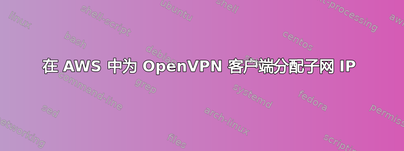 在 AWS 中为 OpenVPN 客户端分配子网 IP