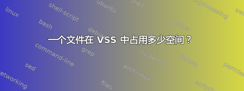 一个文件在 VSS 中占用多少空间？