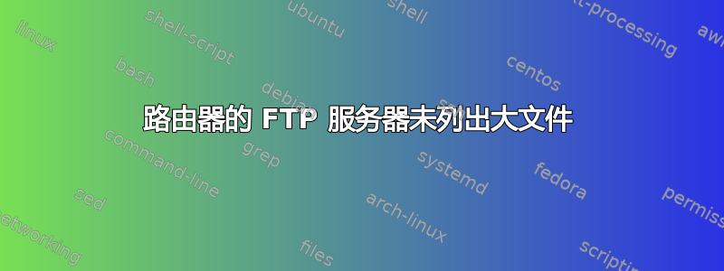 路由器的 FTP 服务器未列出大文件