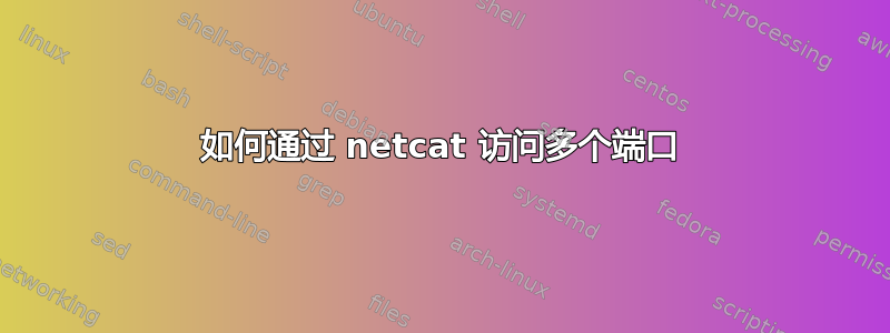 如何通过 netcat 访问多个端口