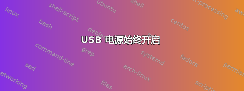 USB 电源始终开启