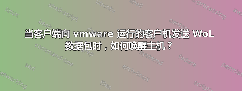 当客户端向 vmware 运行的客户机发送 WoL 数据包时，如何唤醒主机？