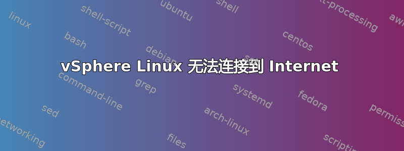 vSphere Linux 无法连接到 Internet