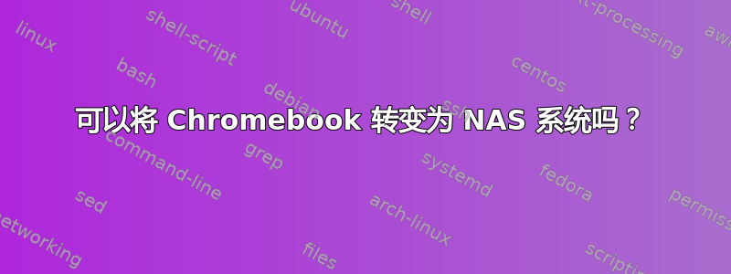 可以将 Chromebook 转变为 NAS 系统吗？