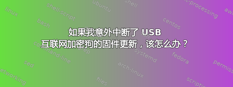 如果我意外中断了 USB 互联网加密狗的固件更新，该怎么办？