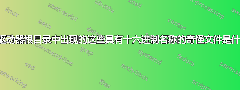 我的驱动器根目录中出现的这些具有十六进制名称的奇怪文件是什么？