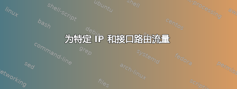 为特定 IP 和接口路由流量