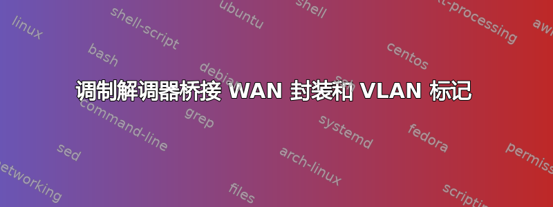 调制解调器桥接 WAN 封装和 VLAN 标记