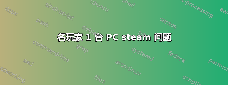 2 名玩家 1 台 PC steam 问题