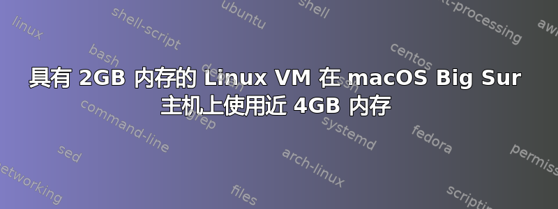 具有 2GB 内存的 Linux VM 在 macOS Big Sur 主机上使用近 4GB 内存