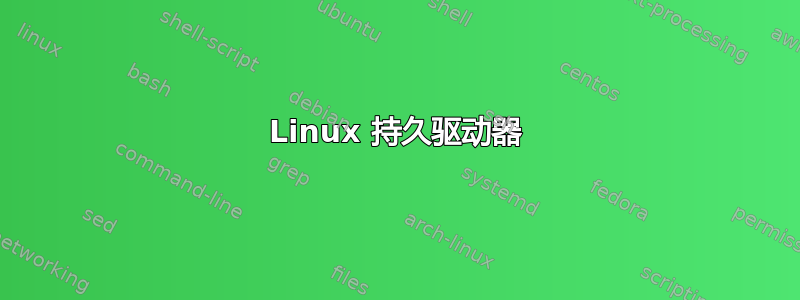 Linux 持久驱动器