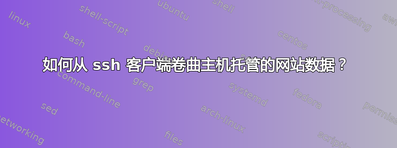 如何从 ssh 客户端卷曲主机托管的网站数据？