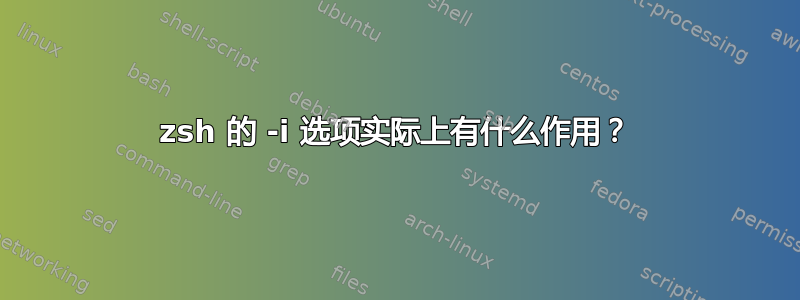 zsh 的 -i 选项实际上有什么作用？