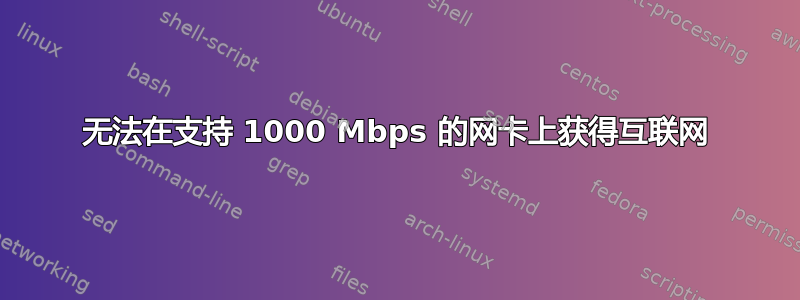 无法在支持 1000 Mbps 的网卡上获得互联网