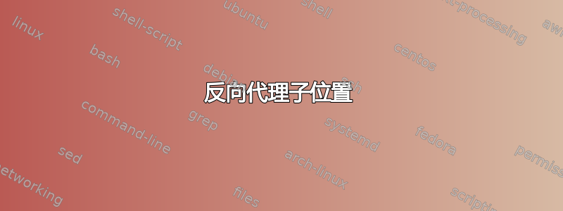 反向代理子位置