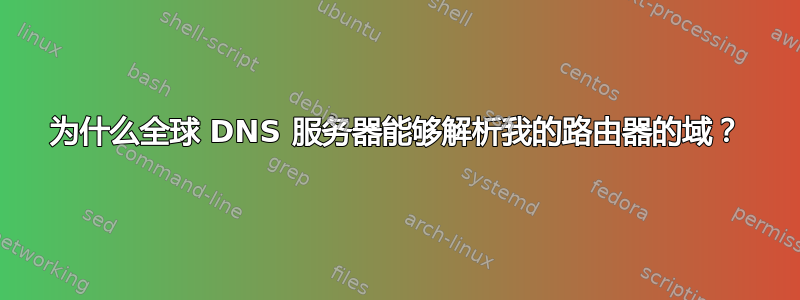 为什么全球 DNS 服务器能够解析我的路由器的域？