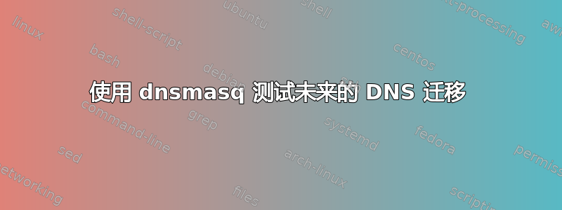 使用 dnsmasq 测试未来的 DNS 迁移