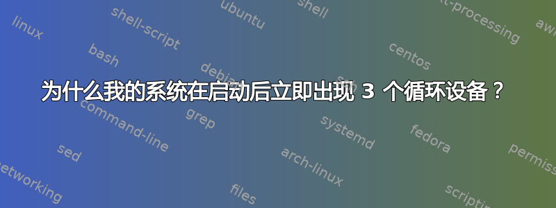 为什么我的系统在启动后立即出现 3 个循环设备？