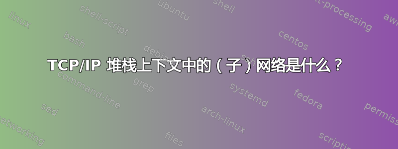 TCP/IP 堆栈上下文中的（子）网络是什么？