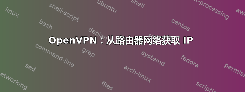 OpenVPN：从路由器网络获取 IP