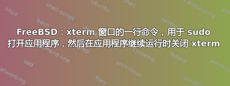 FreeBSD：xterm 窗口的一行命令，用于 sudo 打开应用程序，然后在应用程序继续运行时关闭 xterm