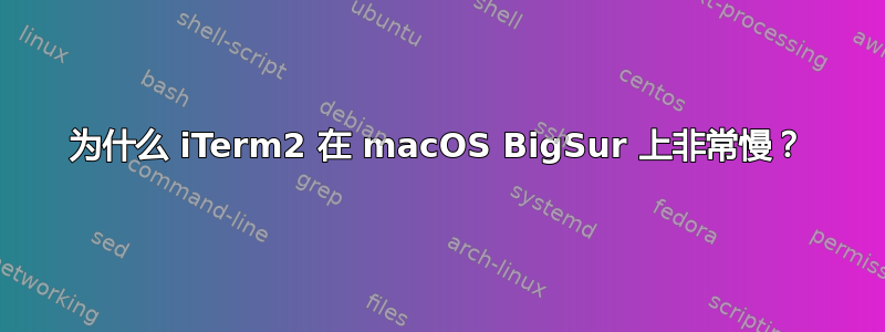 为什么 iTerm2 在 macOS BigSur 上非常慢？