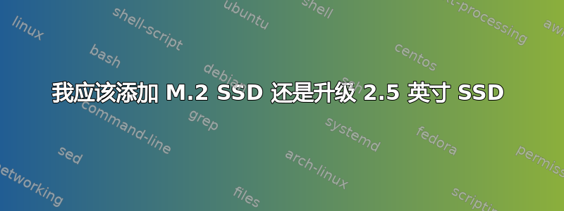 我应该添加 M.2 SSD 还是升级 2.5 英寸 SSD