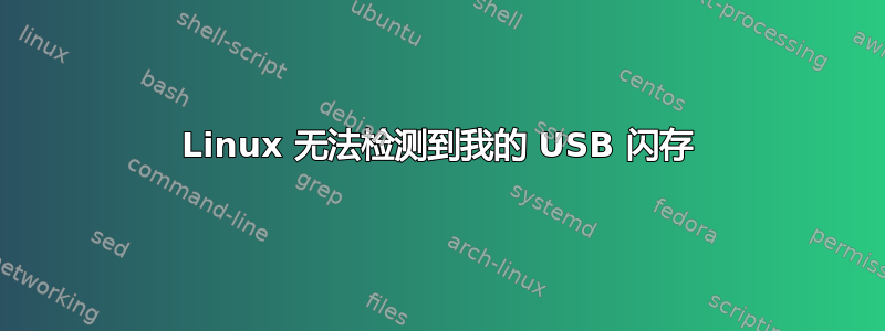 Linux 无法检测到我的 USB 闪存